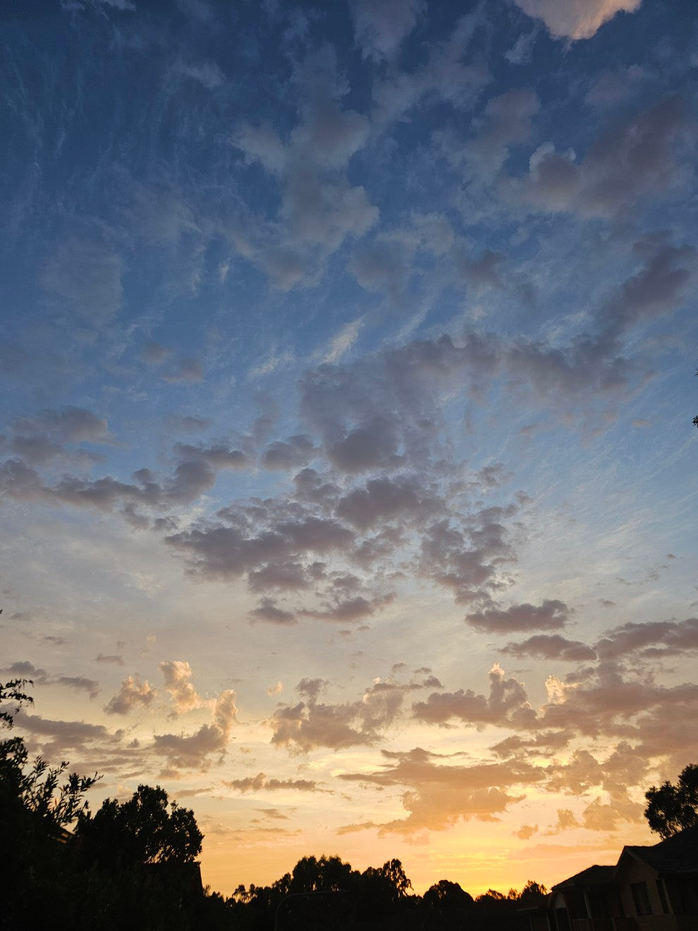 C.Sky 064641