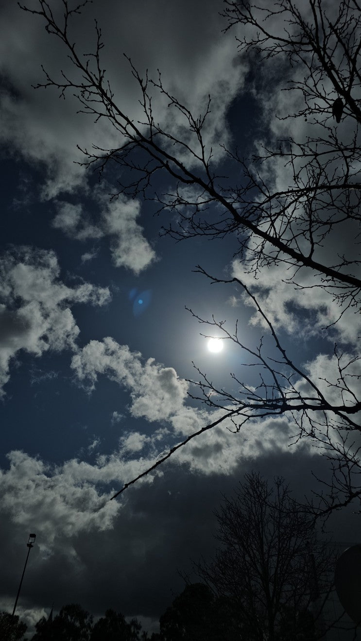 C.Sky 113422