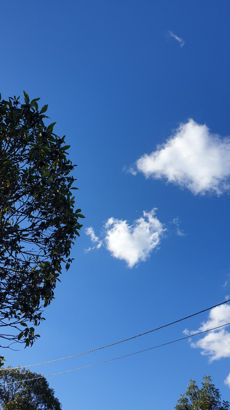 A.Sky 151429