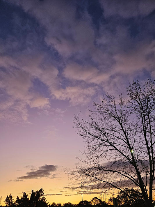C.Sunset 173315