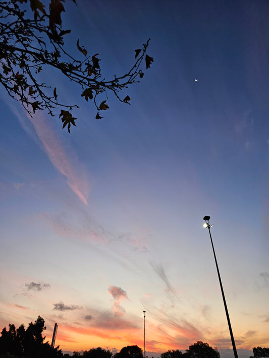 Sky 172940