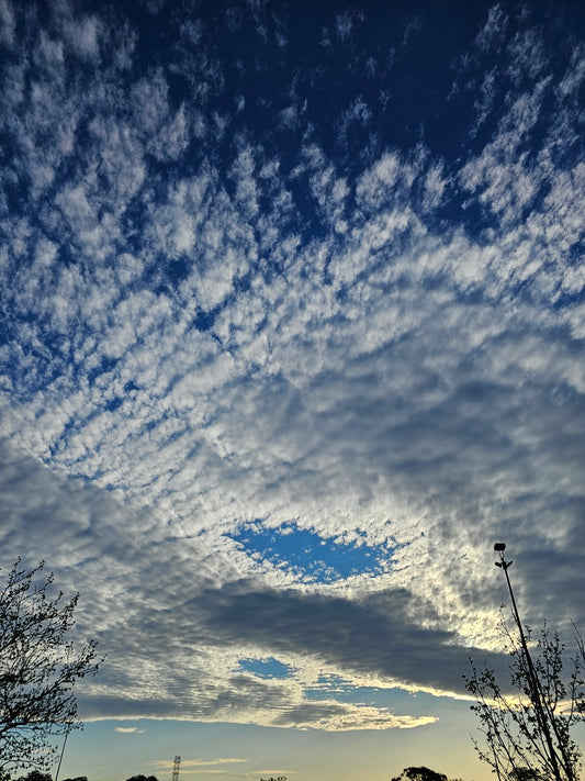 Sky 164202