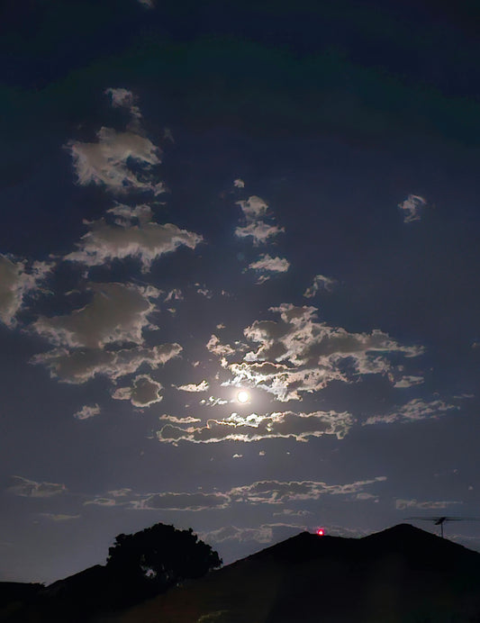 Sky 202242