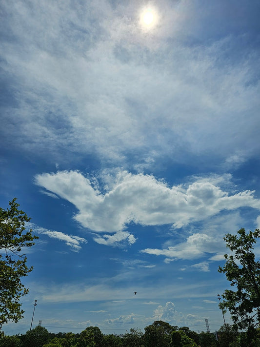 Sky 141240