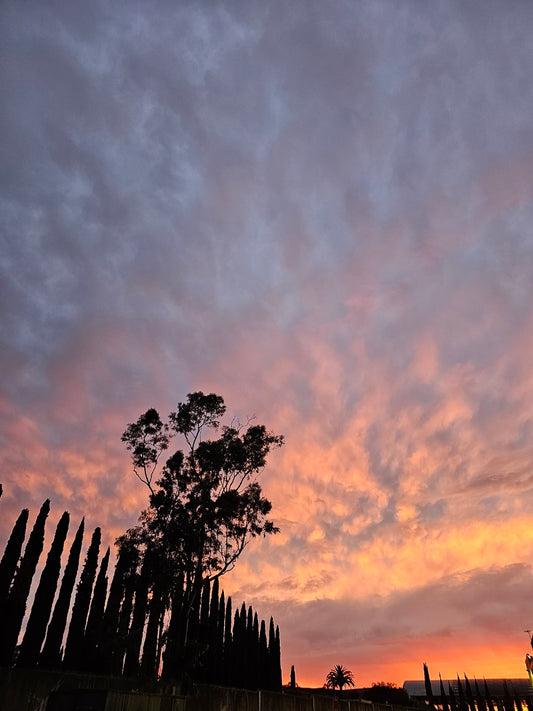 Sunset 060737