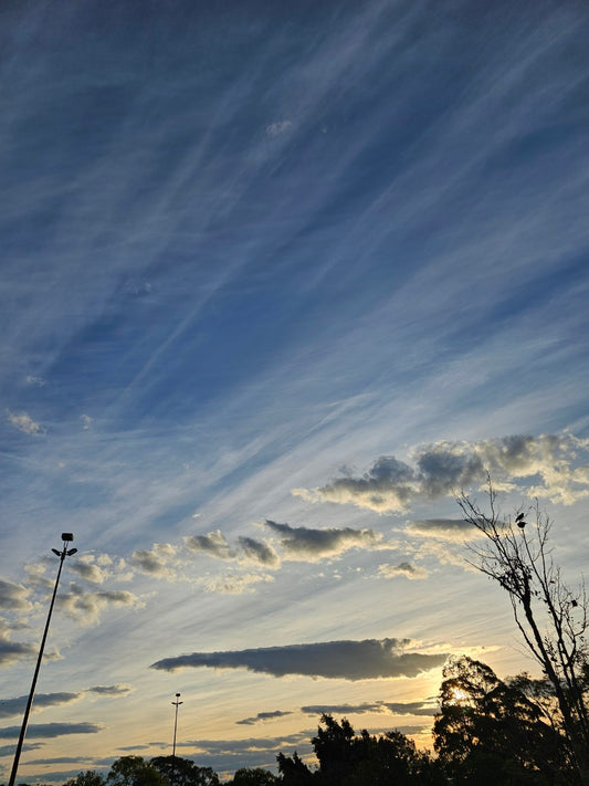 Sky 162522