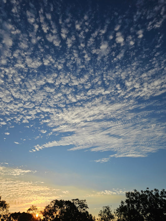 C.Sunset 170642
