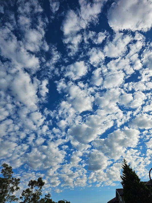 Sky 080525